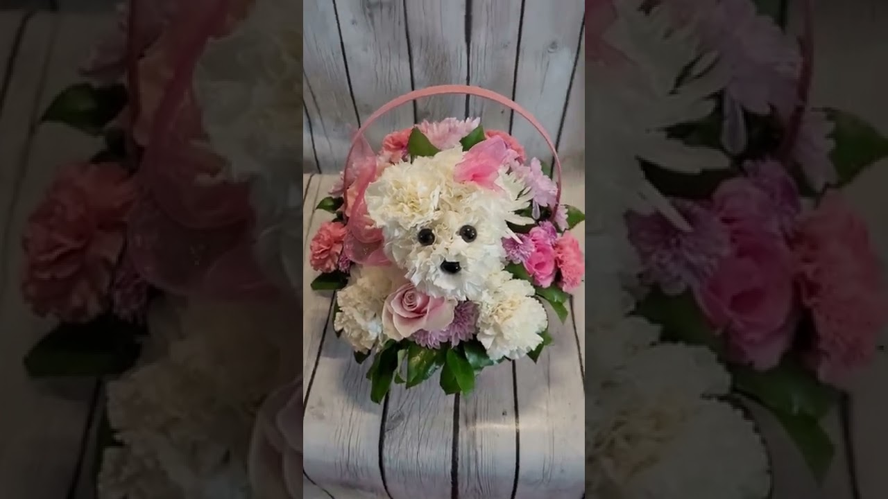 puppy arrangement by Darlene's flowers