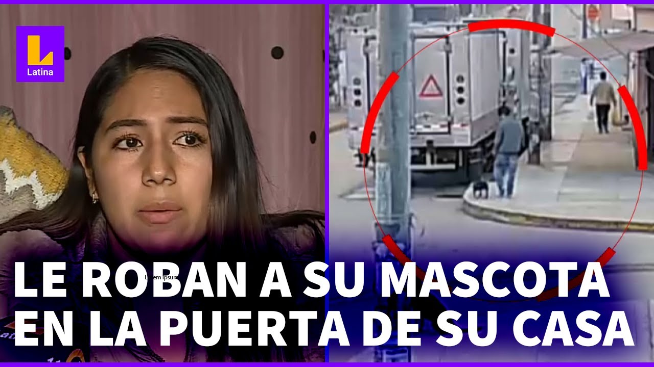 Villa María del Triunfo: Delincuentes armados roban mascota a vecino en la puerta de su casa