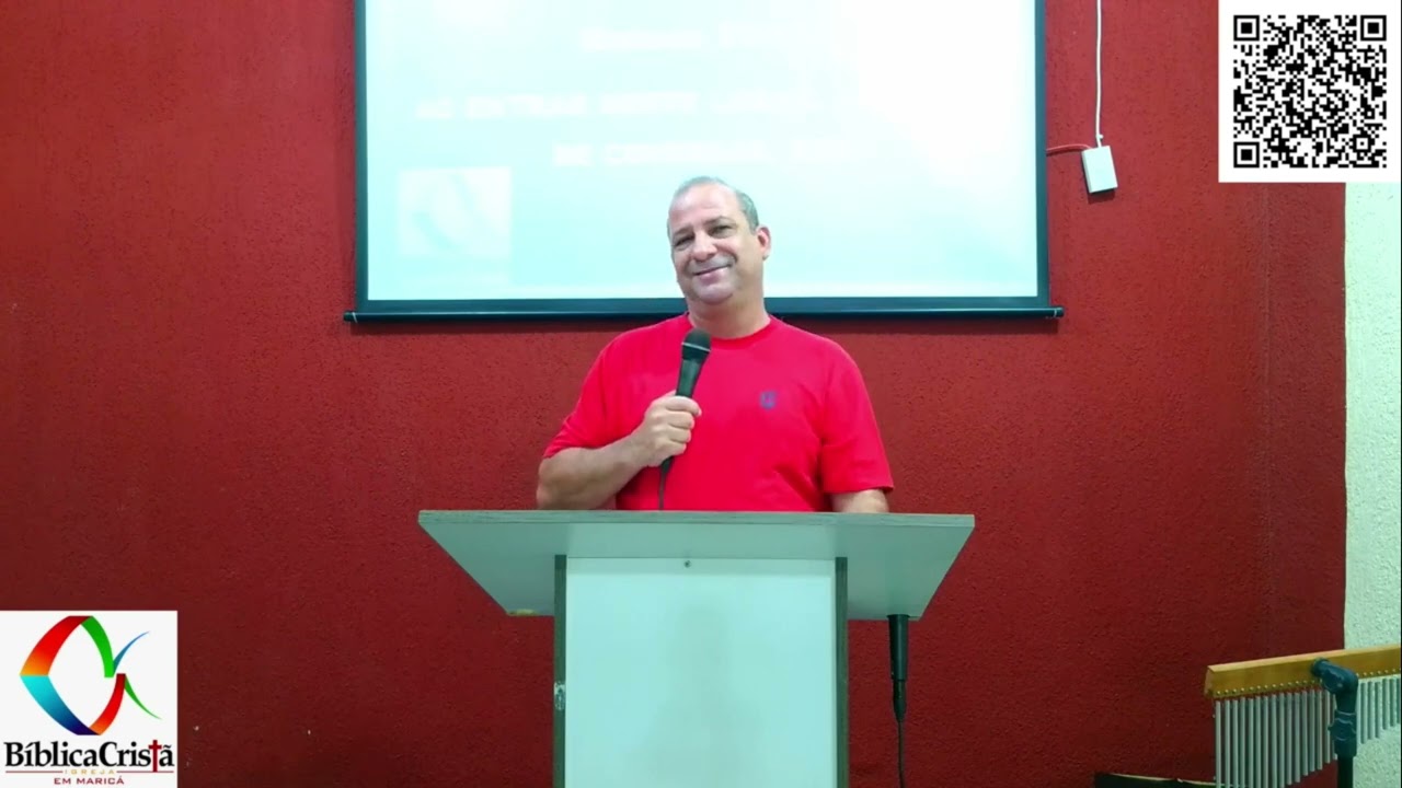 VIDA DE INSETO - Alexandro Salles 