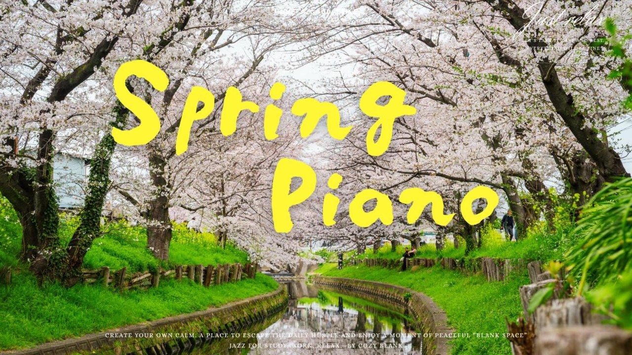 Spring Sakura Piano🌸Gentle Melodies under Cherry Blossoms | 桜並木の散歩道。心を癒やす春の陽だまりピアノBGM