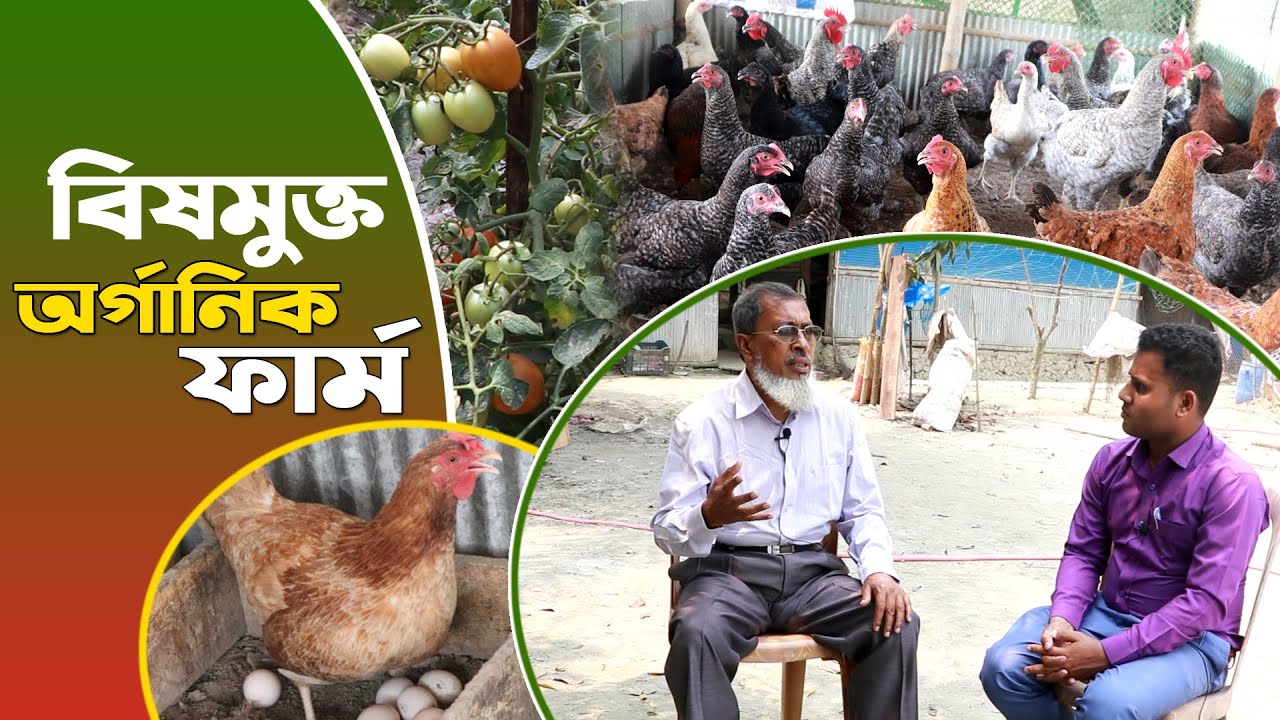 সরকারি চাকরির ছেড়ে বিষমুক্ত খাদ্য উৎপাদনে সফল উদ্যোক্তা | Organic farming - Safollo kotha