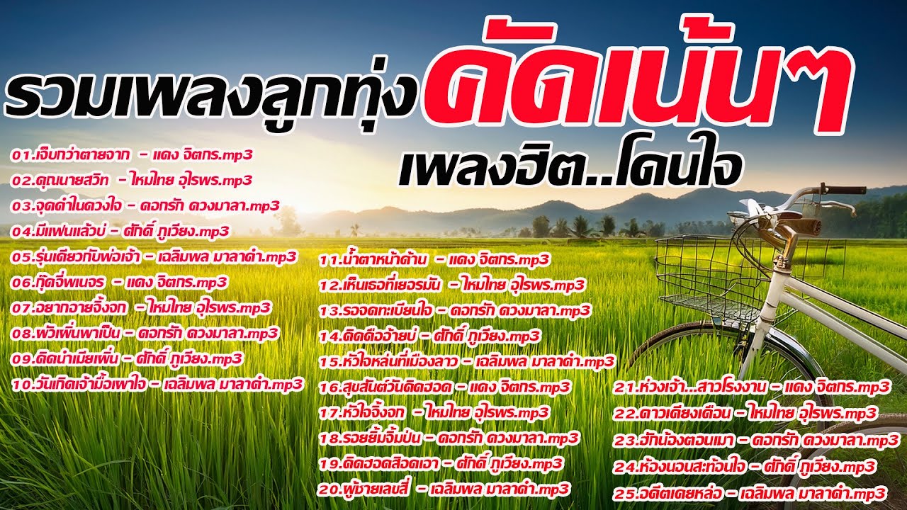 รวมเพลงลูกทุ่งคัดเน้นๆเพลงฮิตโดนใจ