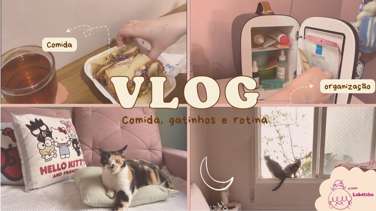 Rotina diária da tarde | VLOG morando com 5 gatos | Organização e jantar