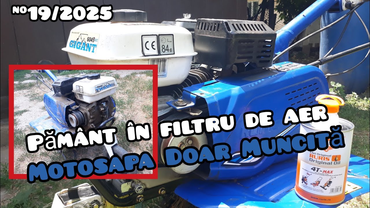 RURIS GIGANT 6049 ACC. 7CP. SCHIMB DE ULEI+CURĂȚAREA MOTOSAPEI!