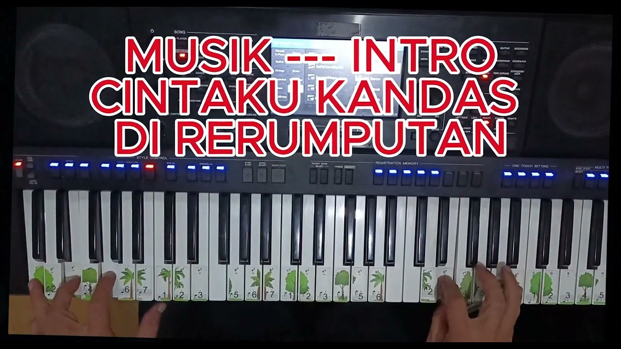 CINTAKU KANDAS DI RERUMPUTAN Cover Ebiet G Ade