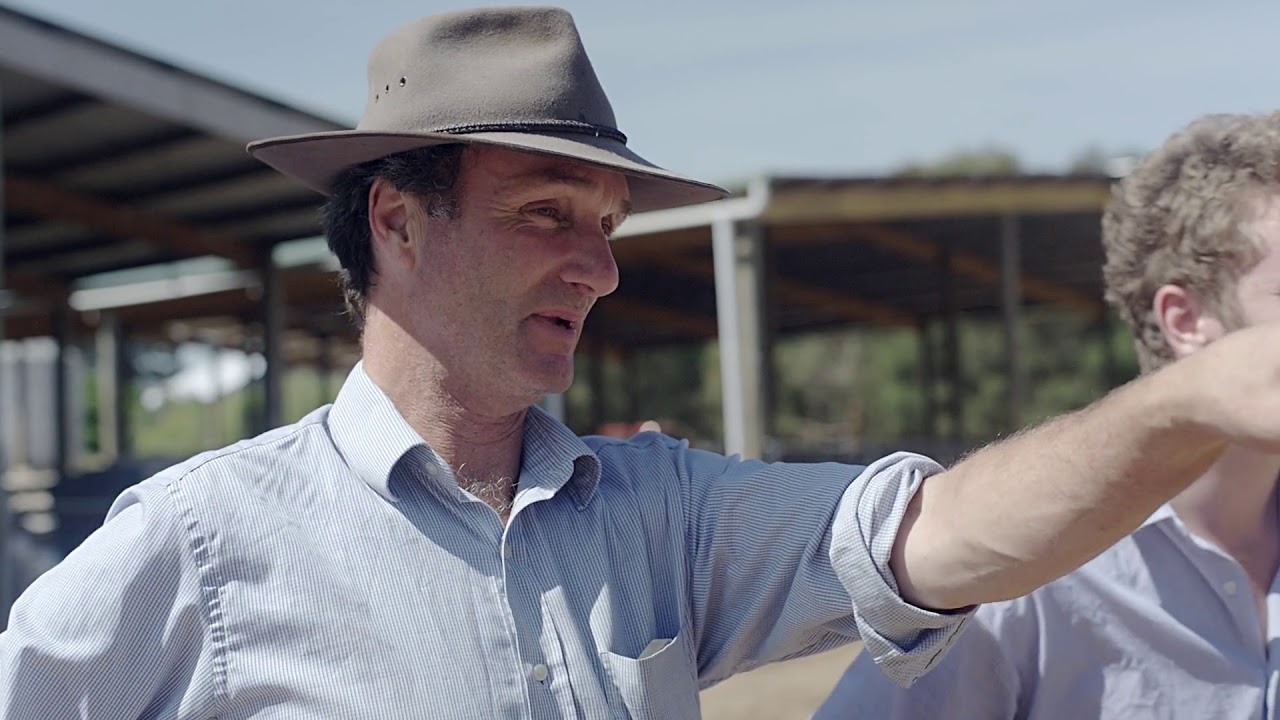 Meredith Dairy: Our Origins