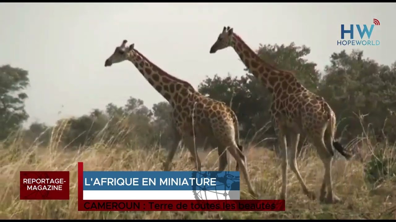 TOURISME AU CAMEROUN