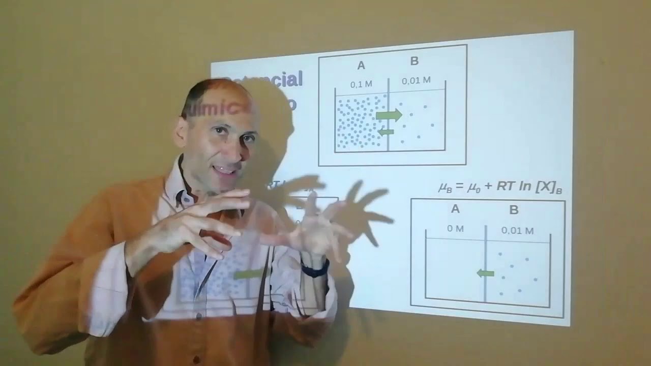 Fisiología y Biofísica. Difusión, parte 1. Potencial químico.