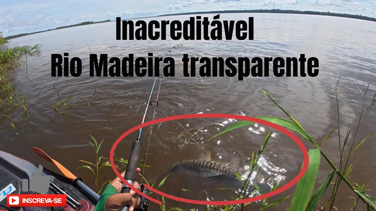 NUNCA PEGUEI TANTO PEIXE EM UM SÓ LUGAR 
