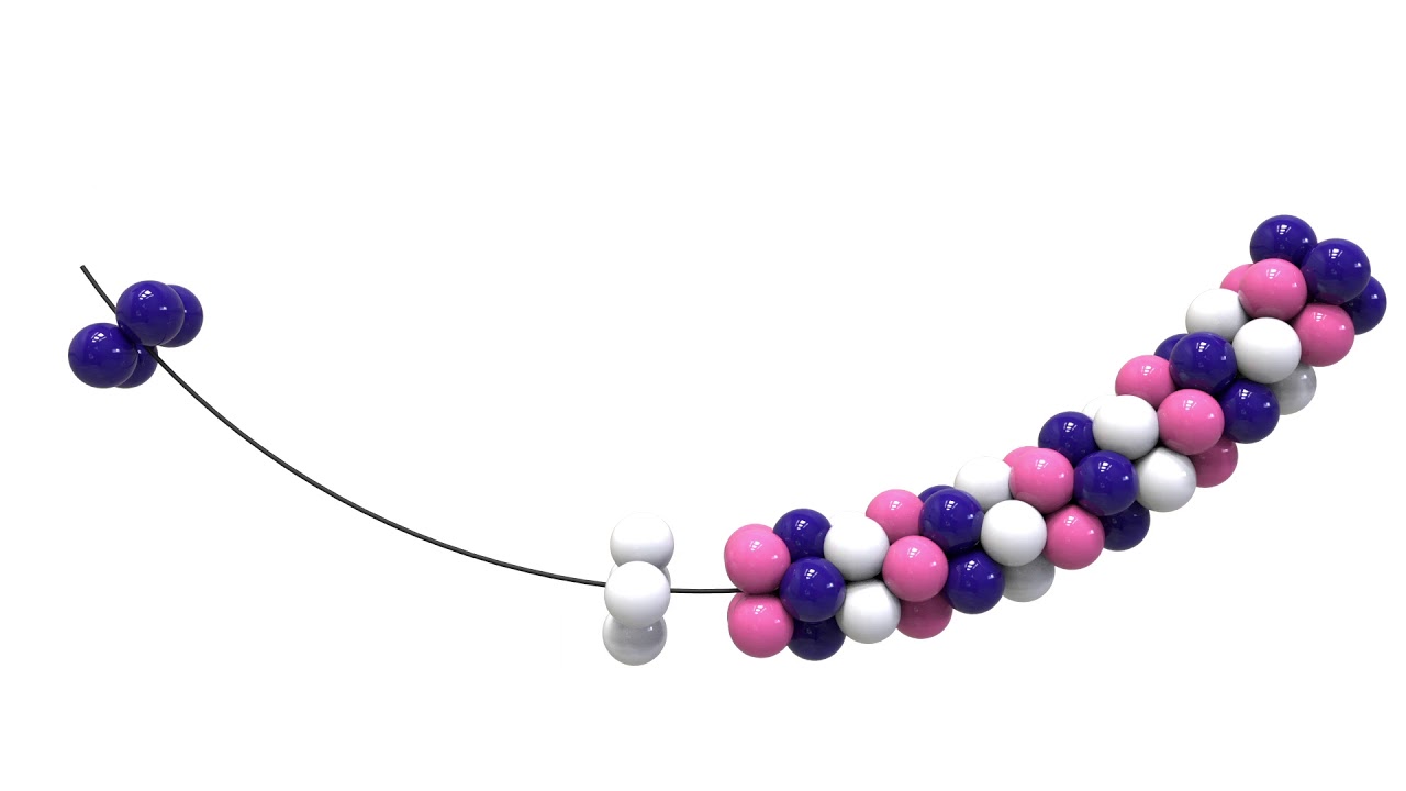 A short animation making a balloon garland / swag with balloon quadz.
