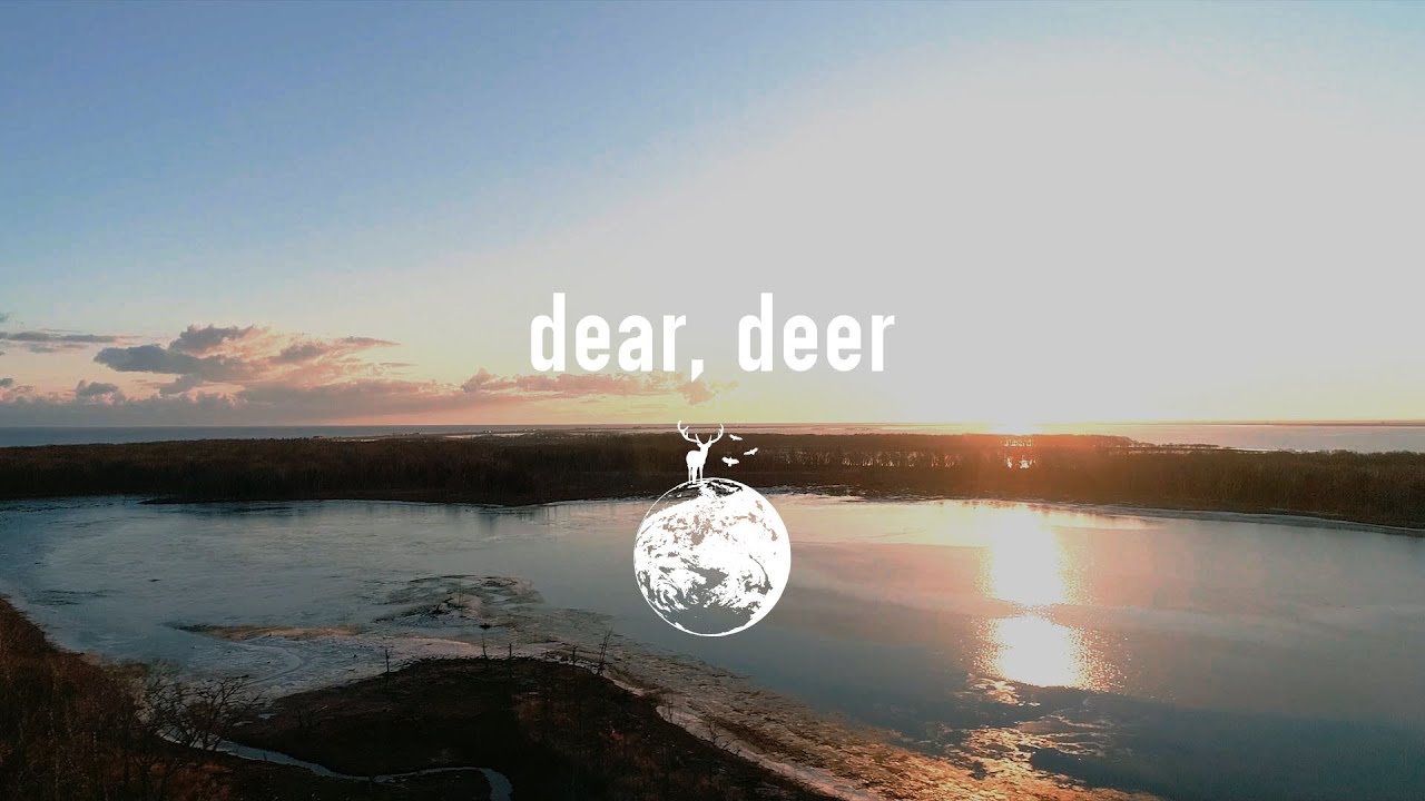 tacica『dear, deer』(Music Video)