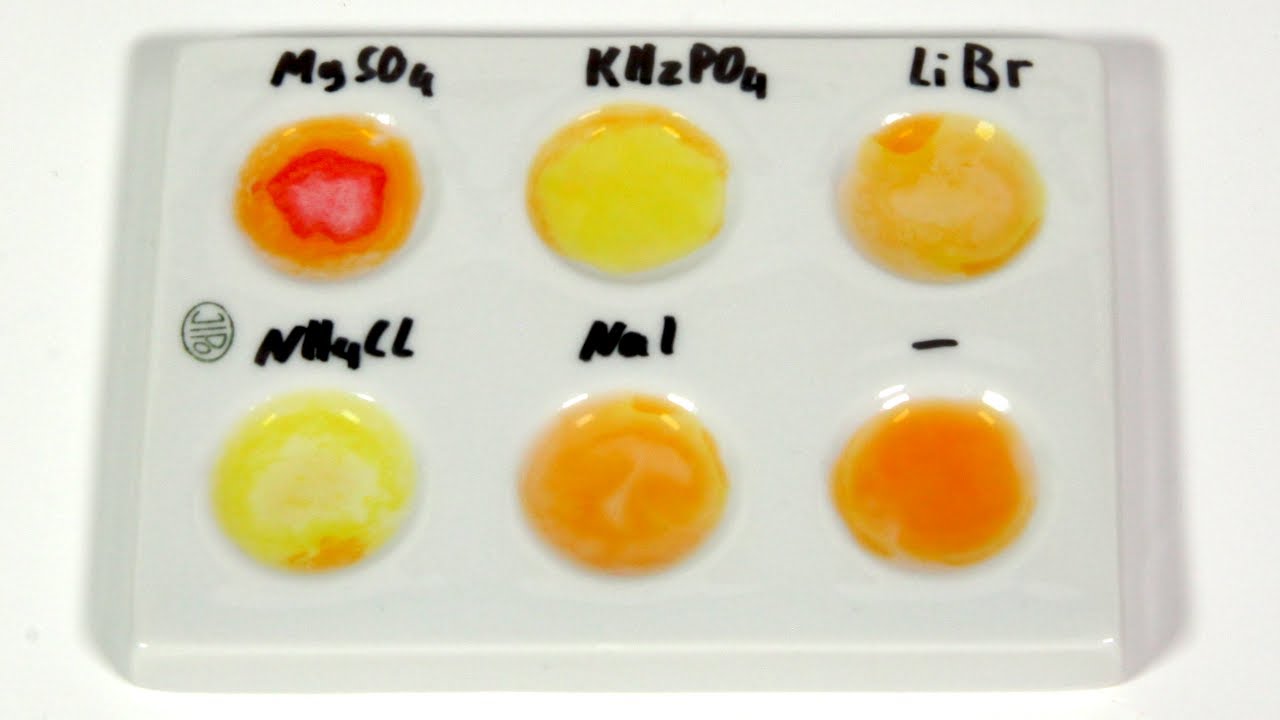 Magnesium qualitativer Ionennachweis