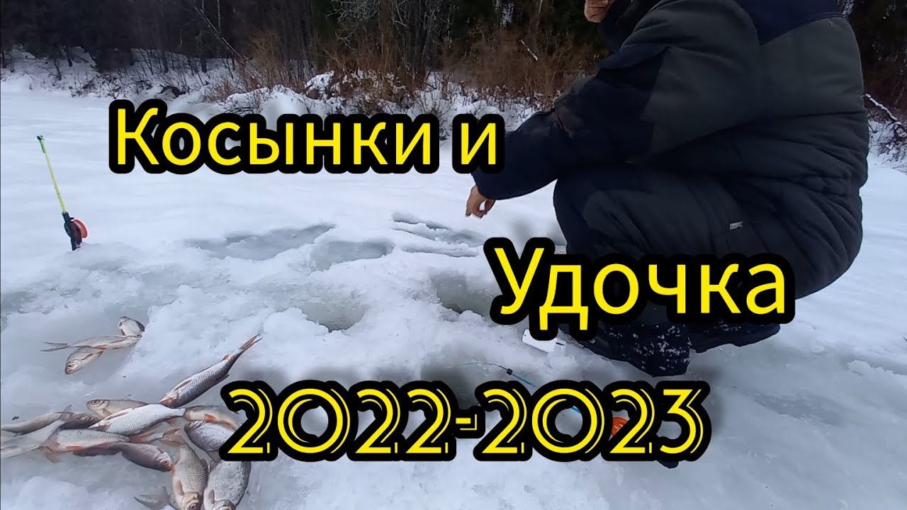 Только Поставил Косынки. Крупная Плотва. Рыбалка на Косынок и Удочку.