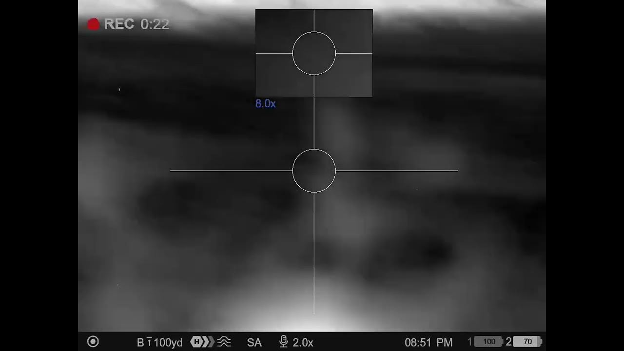 Wheat field hogs! #thermalhunting #hog #boarhunting #hoghunting #thermal #pulsar #wildhogs #hunting