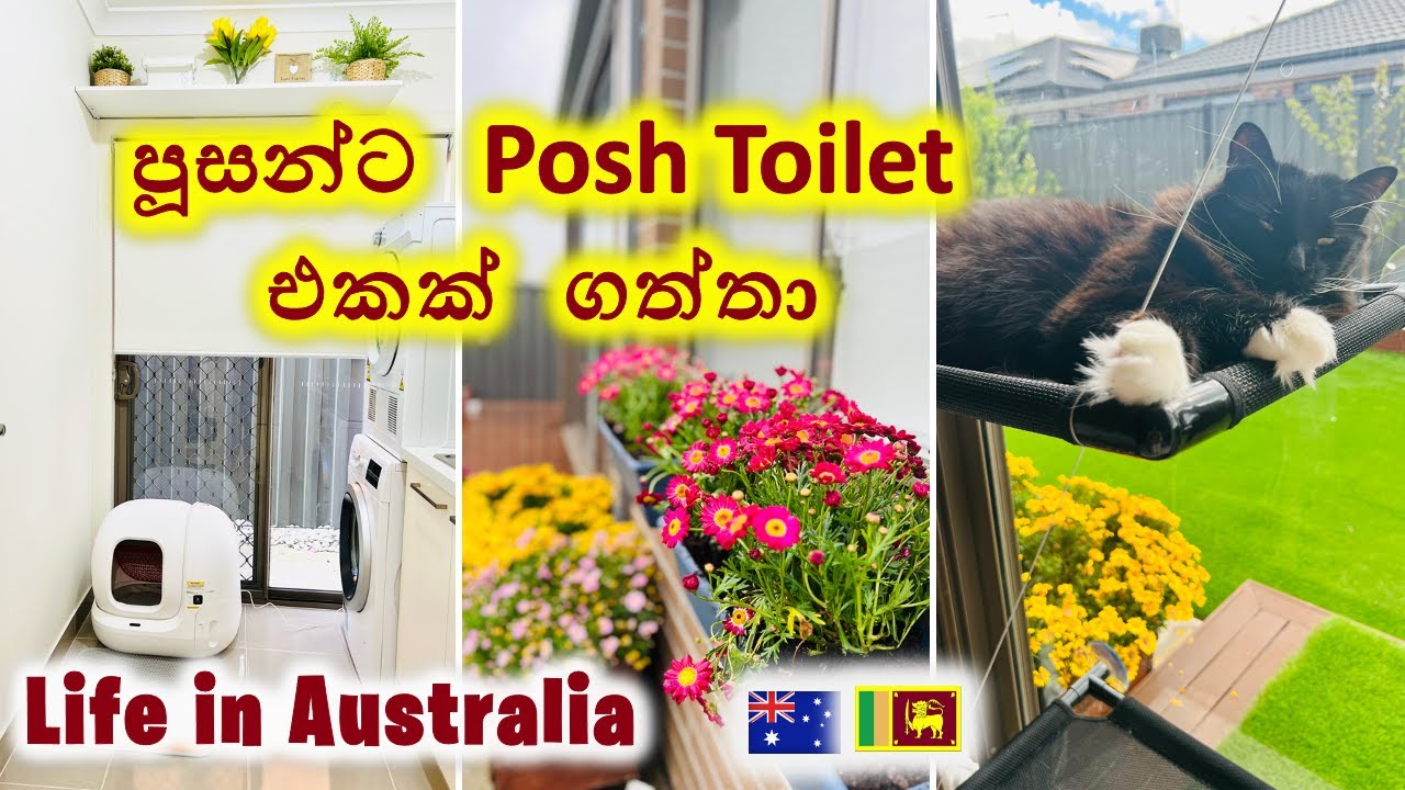 ලස්සන වැහි දවසක් Vlog | Day in My Life | Flower Beds | Meal Prep | Australia
