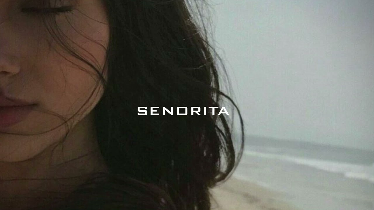 SENORITA (SLOWED REVERB)