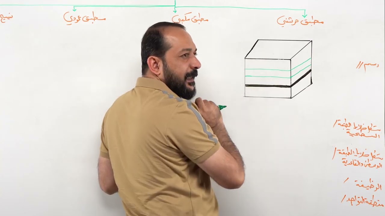 رسم النسيج الطلائي المطبق الحرشفي