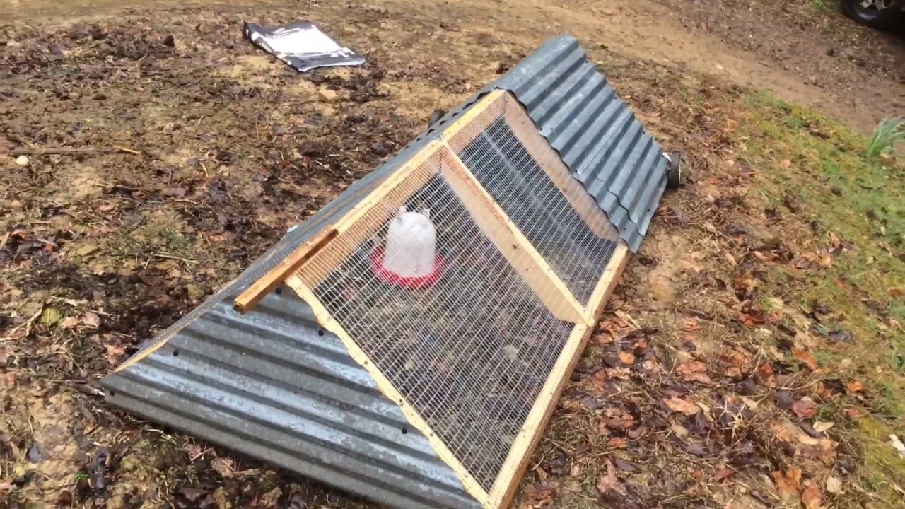 $30 CHICKEN TRACTOR