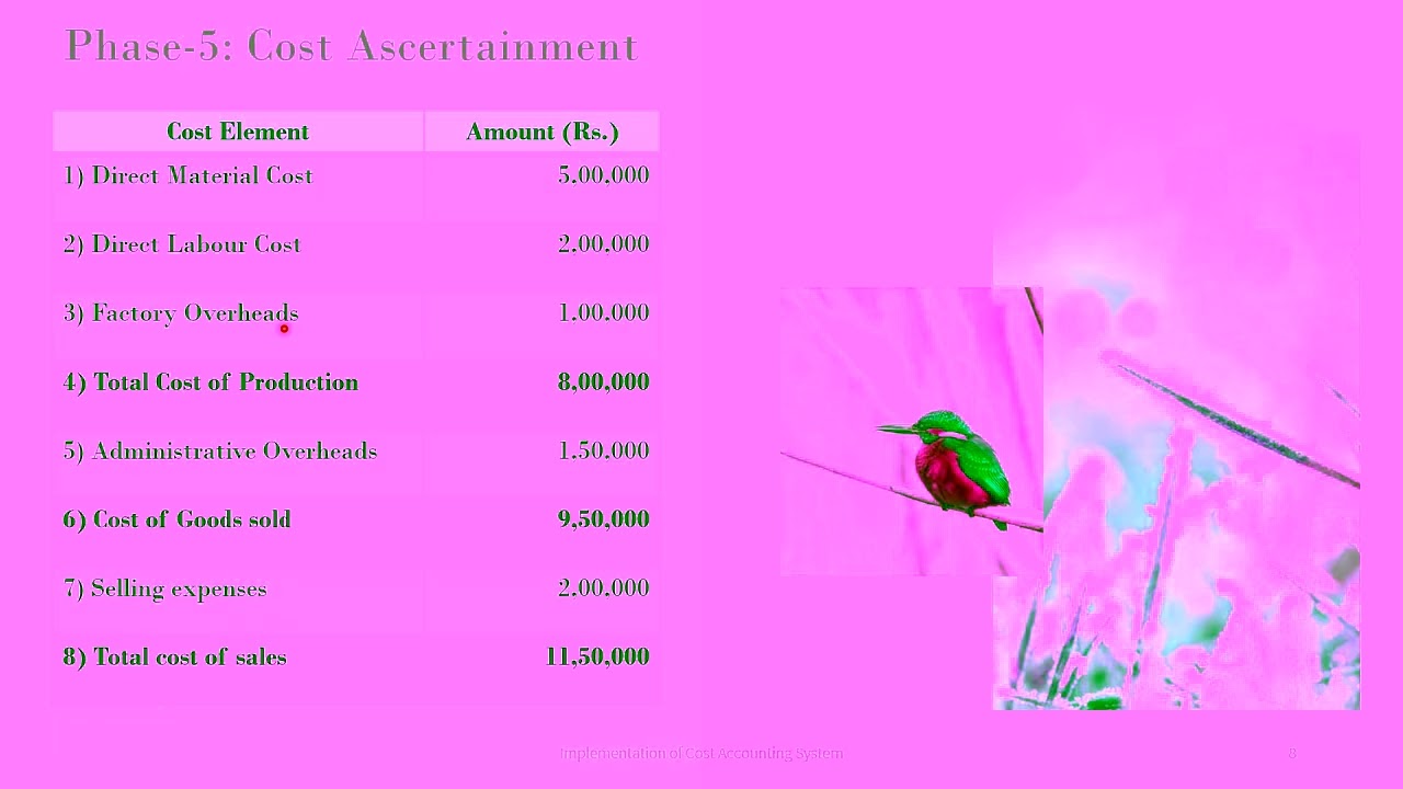 Episode-9:  Implementation of cost accounting system