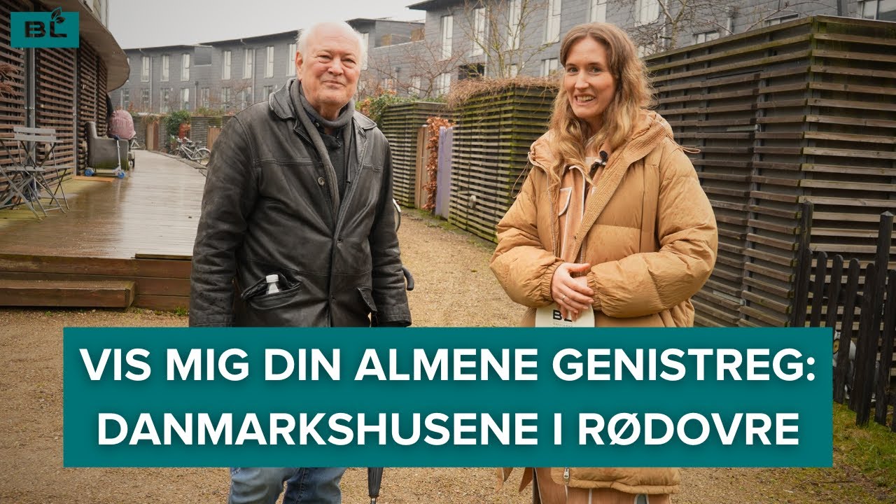 Vis mig din almene genistreg: Danmarkshusene i Rødovre