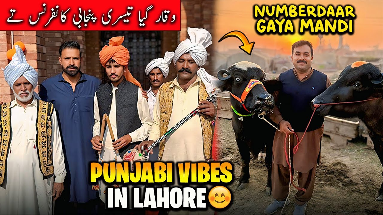 Lahore Wali Punjabi Conference Maza Hi a Gaya 😍 | نمبردار منڈی سے کتنی بھینسیں خرید کر لایا ؟؟