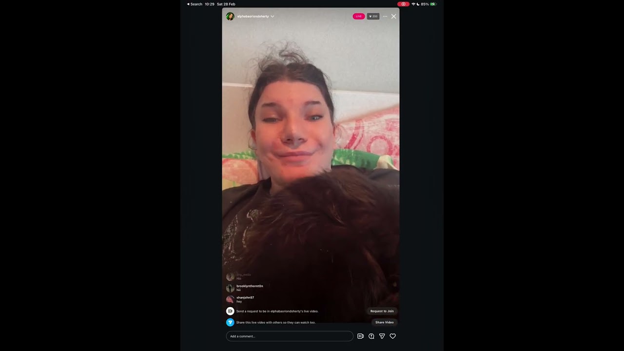 Elephant short instagram live 28/2/26
