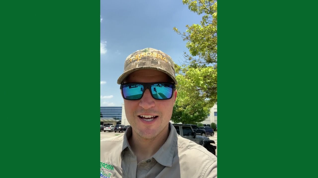Treating Chlorosis in Oaks