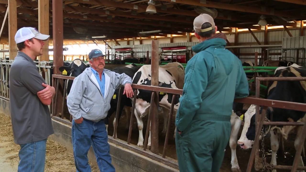 Meier Dairy &ndash; The Banker's Perspective (United States)