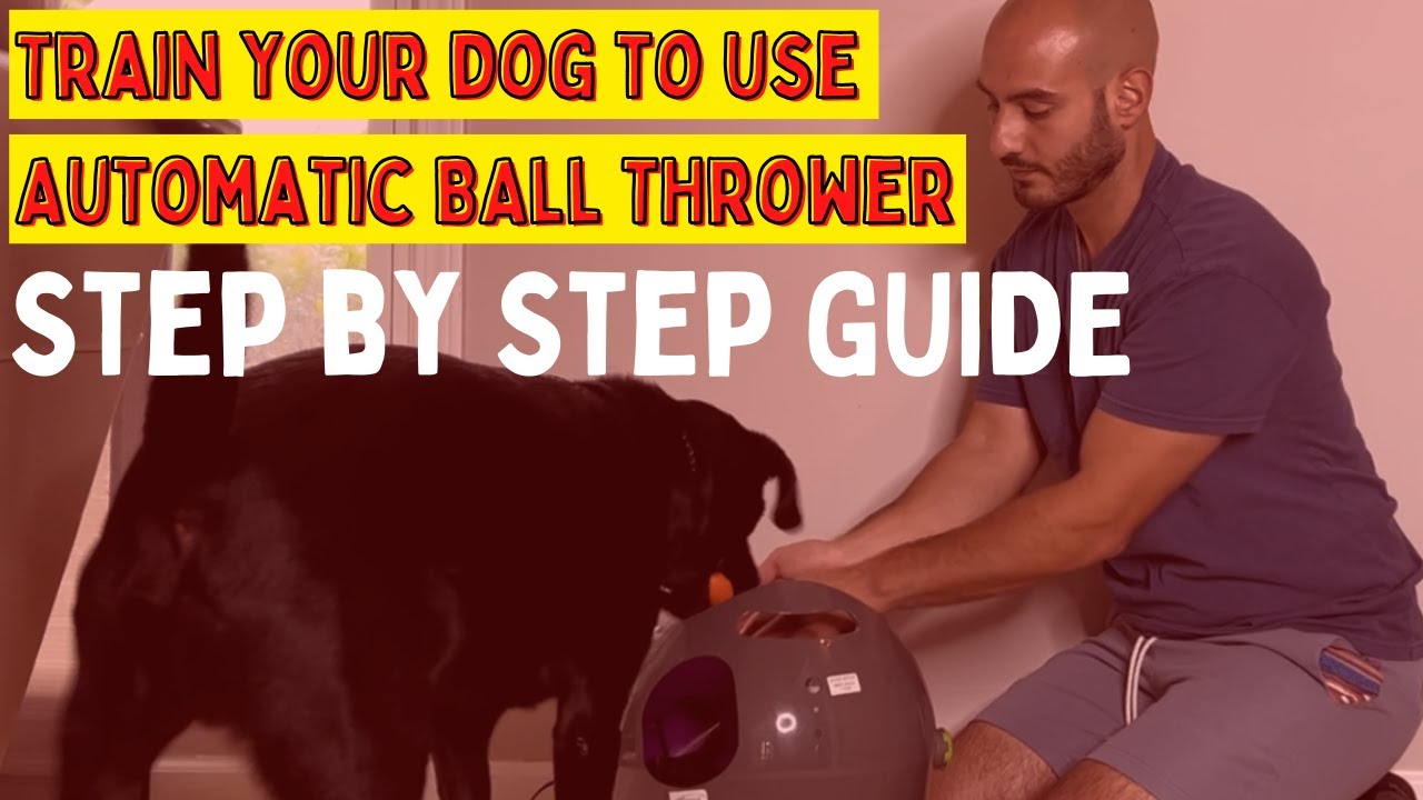 How To Teach Dogs To Use Automatic Fetch Machine- Featuring Petsafe Automatic Ball Launcher #dogtoy