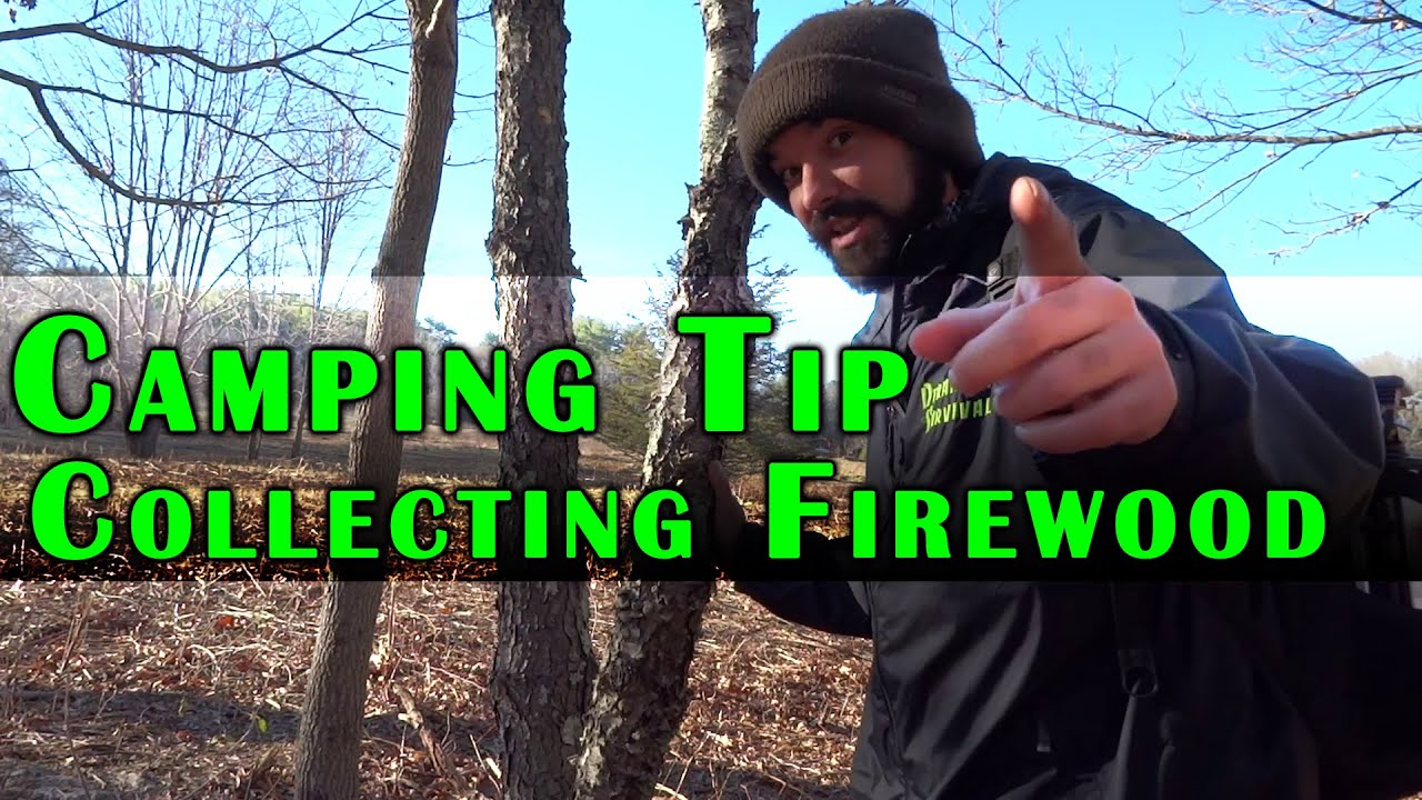Camping Tip - Collecting Dry Wood for a Fire - Deranged Survival