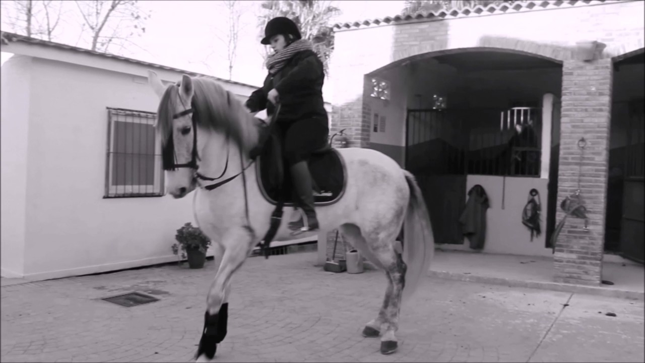 CENTRO ECUESTRE VÍCTOR LÓPEZ: HISTORIA DE UN NIÑO QUE QUERÍA MONTAR A CABALLO