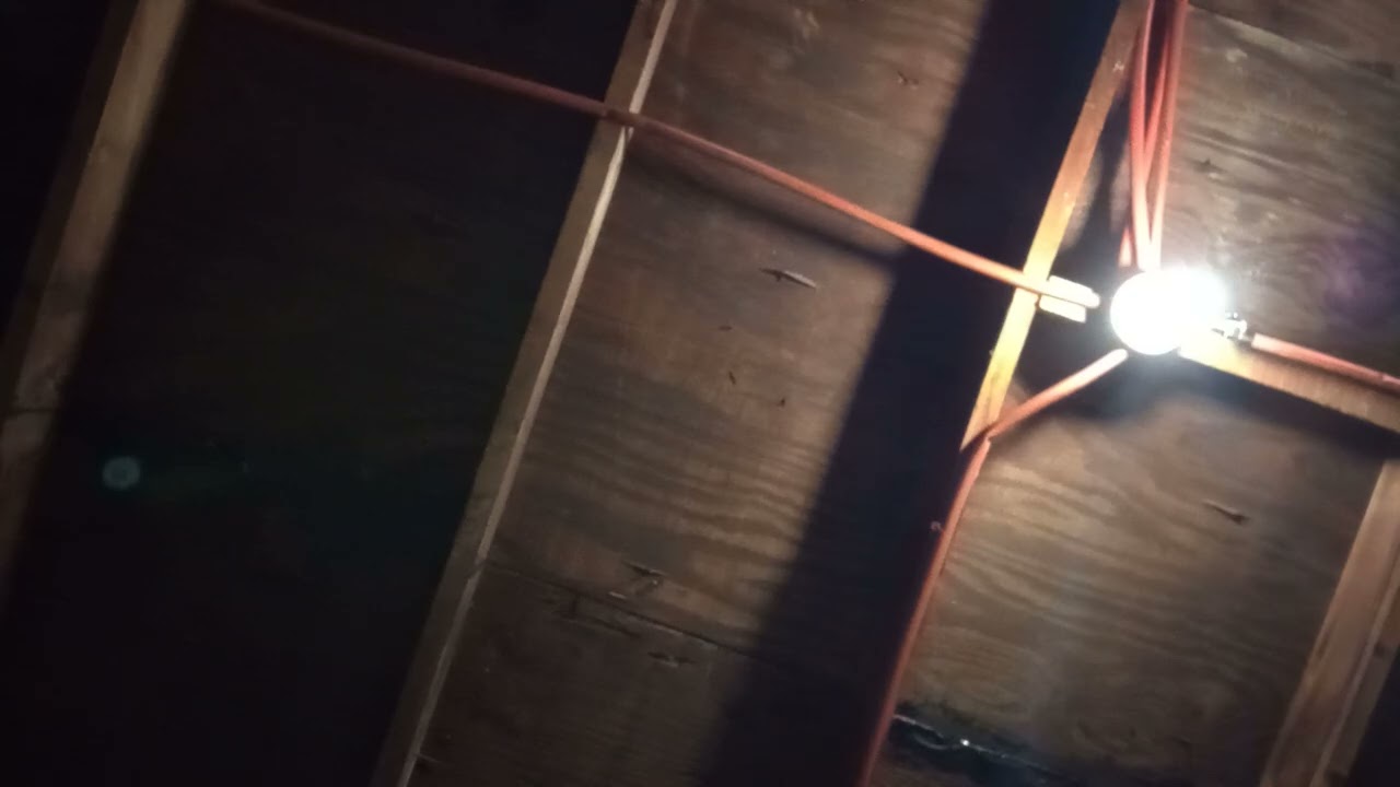 El carro de Federico 