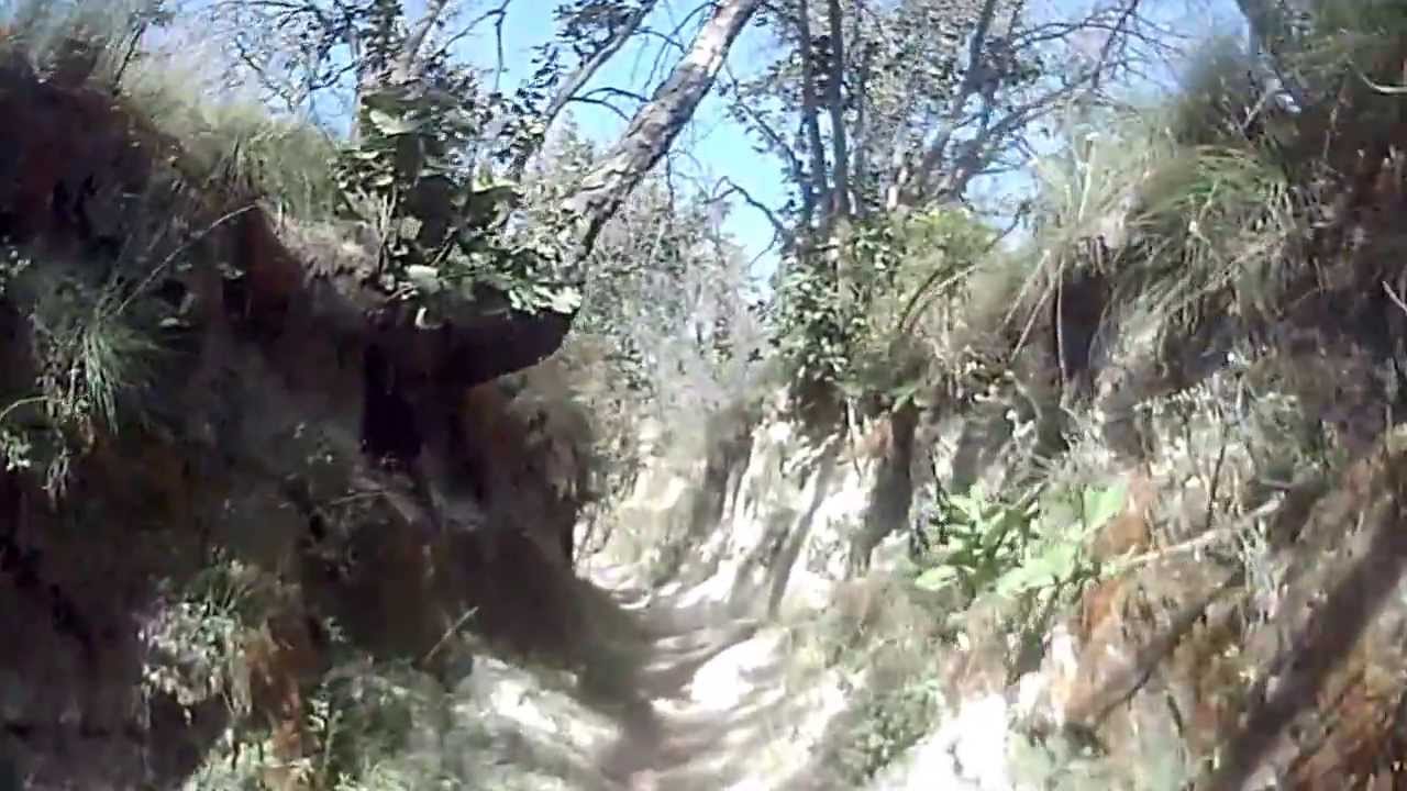 BOSQUE LA PRIMAVERA 