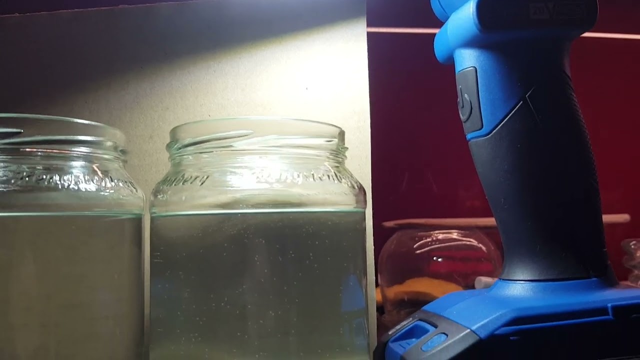 10 Tage - von der Cyste zum 10 Tage alten Nauplius.