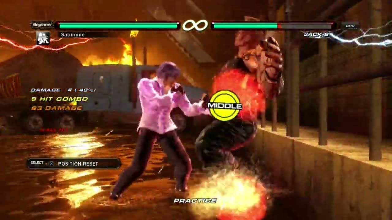 AAJ Tekken 6 Lee combo video