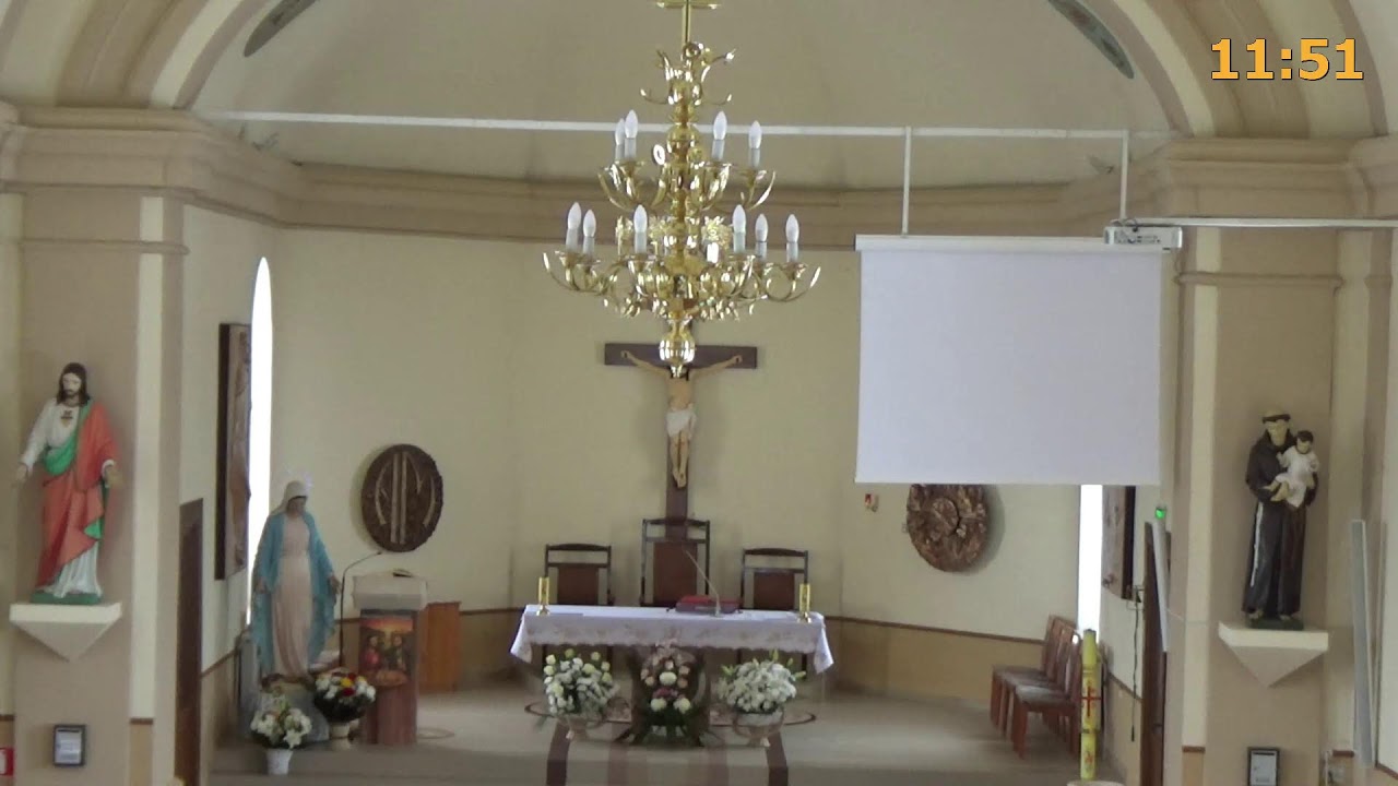 LIVE-Biserica VECHE Pildesti