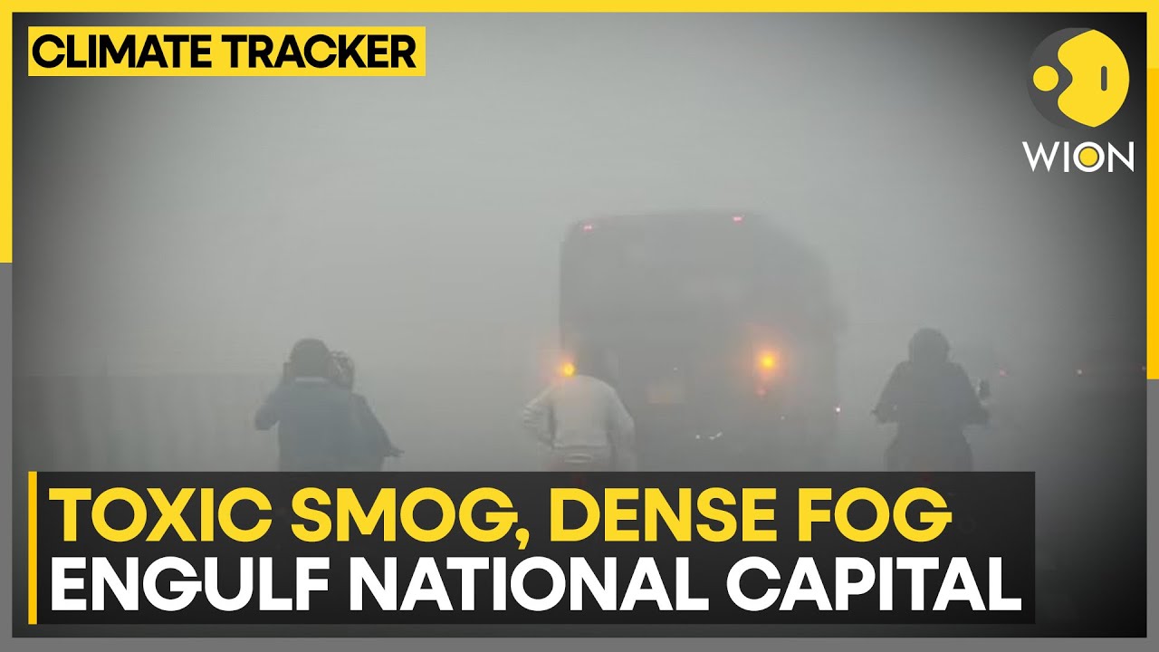 Delhi Pollution: Meteorological Department Issues Orange Alert | WION Climate Tracker