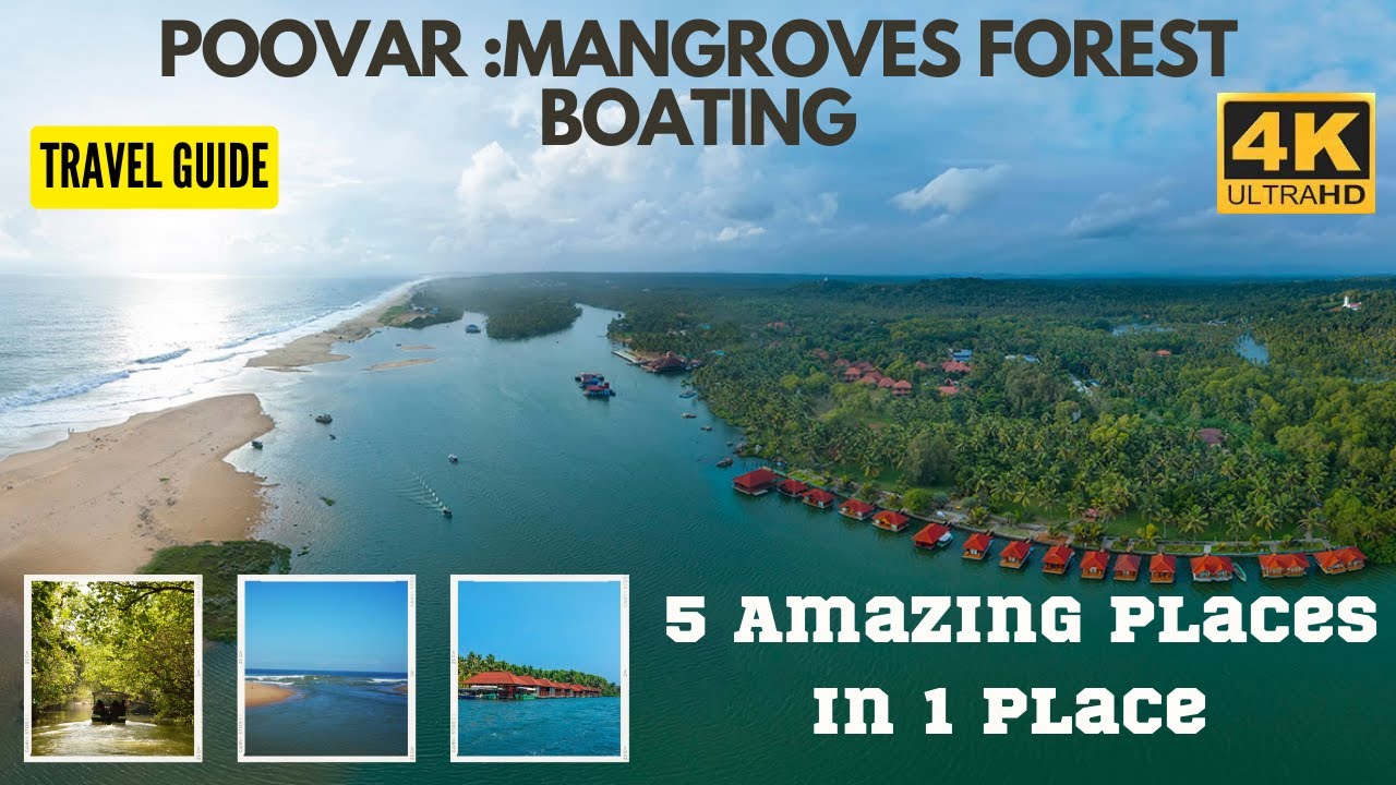 Poovar: 5 Amazing places  in 1 Place |Mangrove Forest Boating |  | Tamil