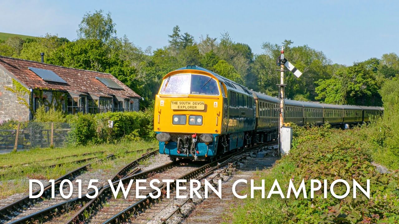 D1015 Western Champion Smokes and Roars over the South Devon Banks! - 2025