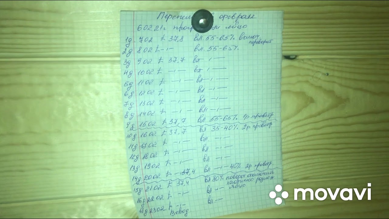 Режим инкубации перепелиных яиц🥚🥚🥚🥚🥚
