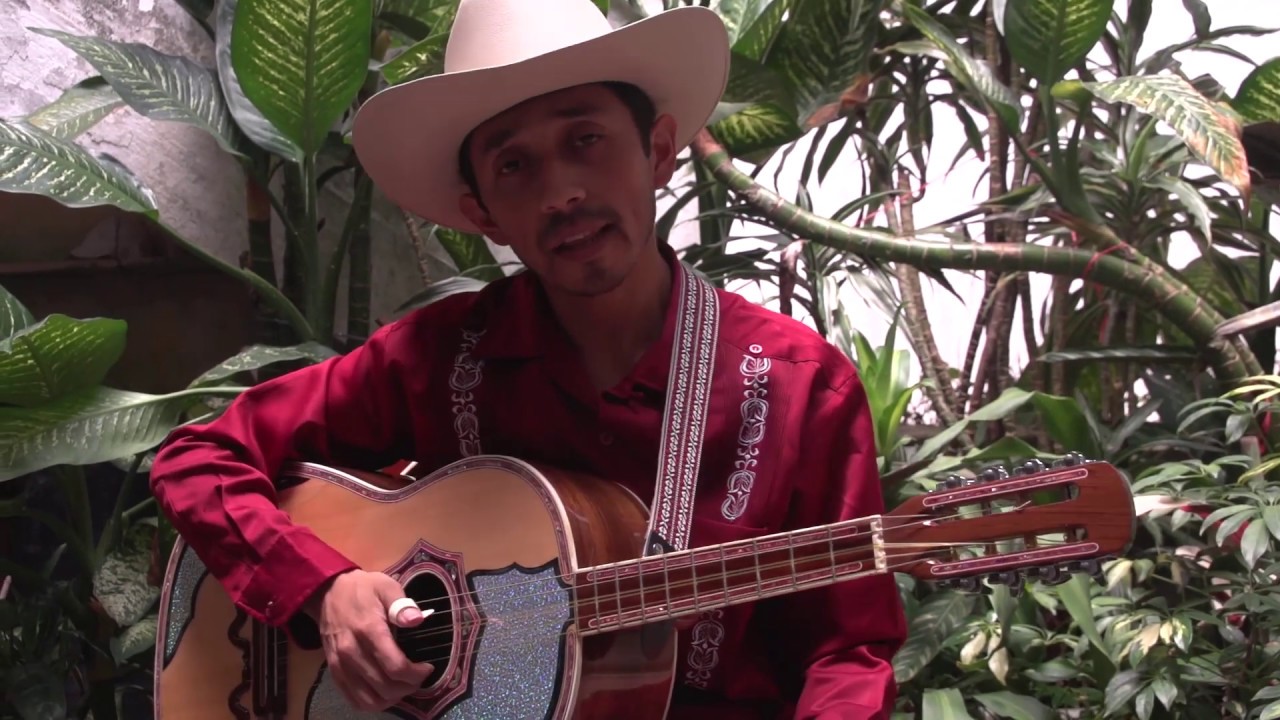 ¿Quieres aprender a tocar la quinta huapanguera? Mira este video