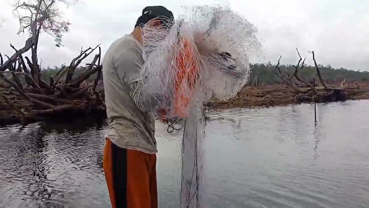 menangkap ikan tapah di danau @malekmalekmalek