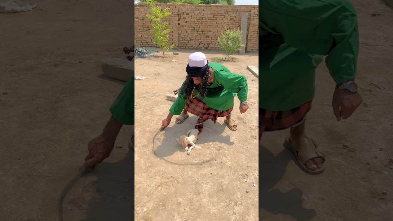 Dhongi Baba Aor Sone Ki Daig 🤣😂 #funny #comedy #ballazeer