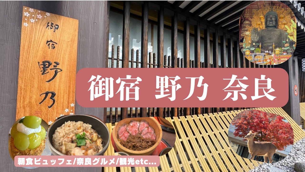 【奈良vlog】奈良旅行1泊2日の旅│野乃に泊まってみた！