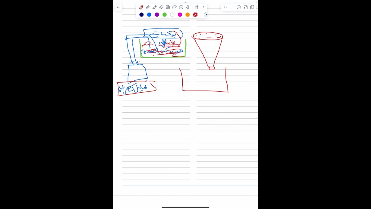 الفصل الثامن طبيعيات مركزة