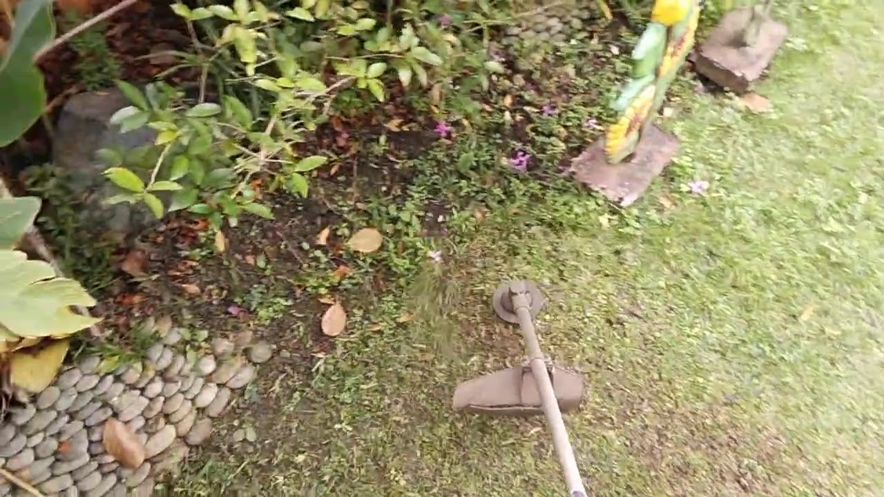 Grass Cutting ASMR??