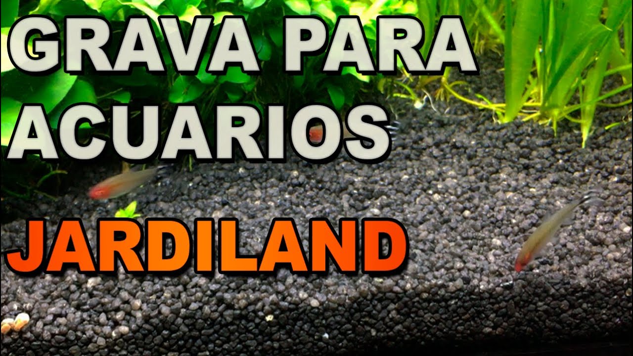 GRAVA NEGRA para acuarios Jardiland | 👉 TODO lo que debes saber