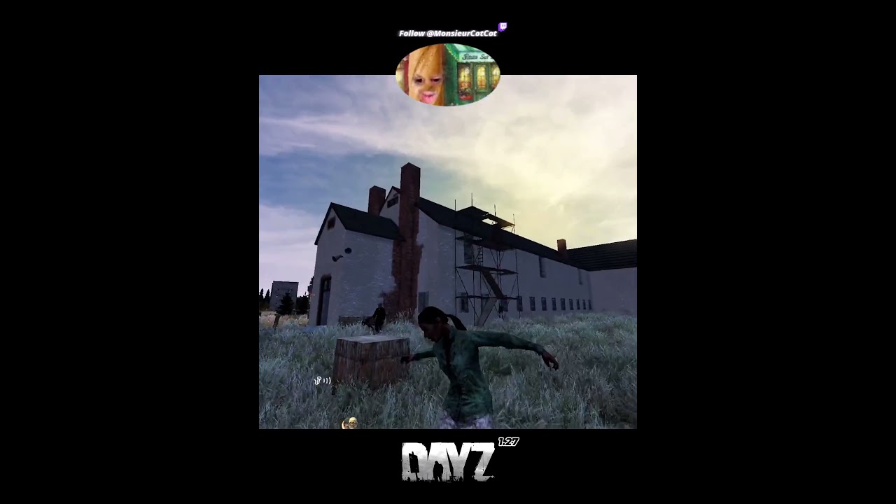 Je déteste ce truc sur dayz... 