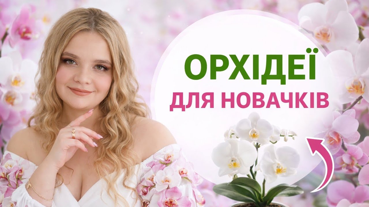 Орхідеї для Новачків