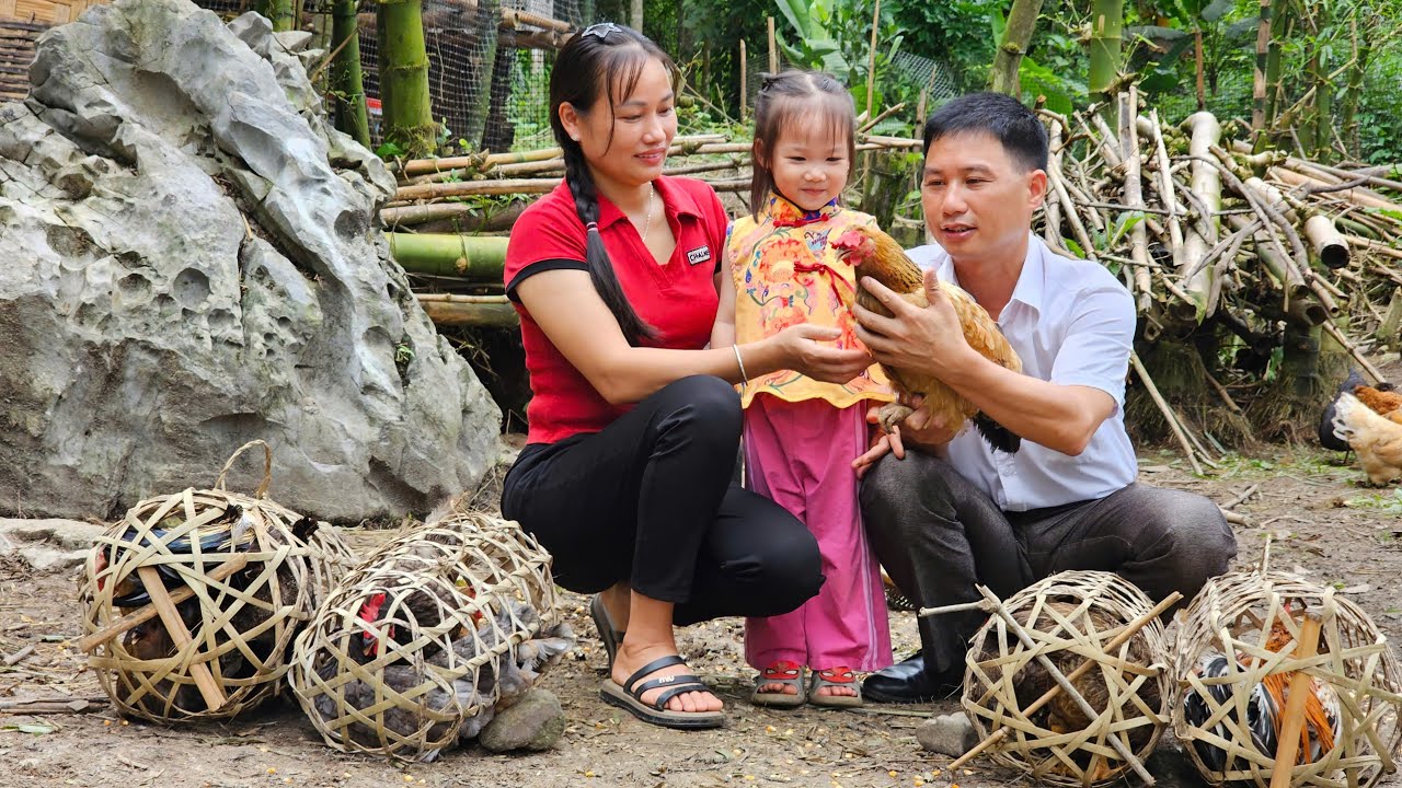 A Warm Day: Catching Chickens to Sell at the Market – A Family Dinner